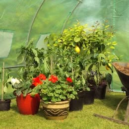Heavy Duty Polytunnels with Hinged Door