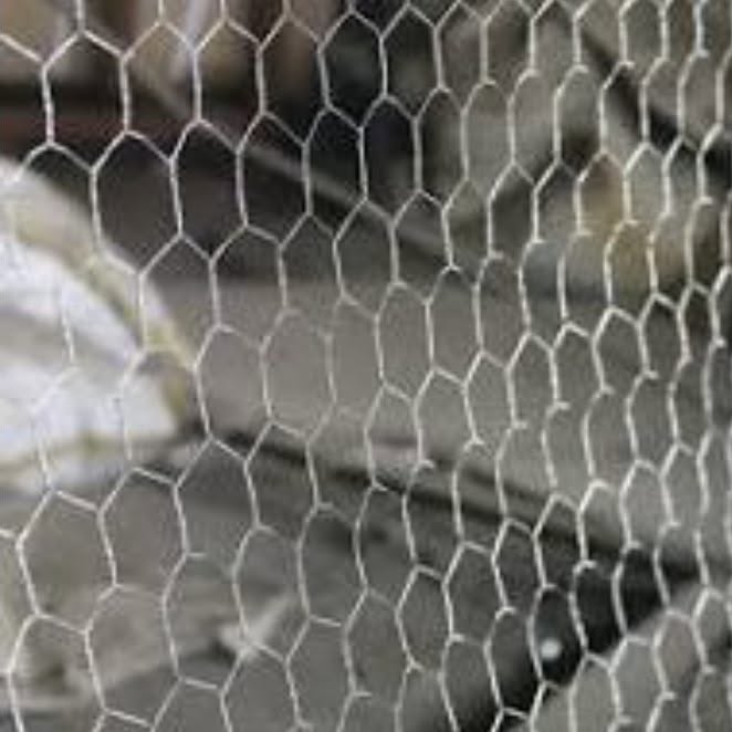 Chicken Wire Mesh Galvanised PVC Coated Hexagonal Fencing Garden