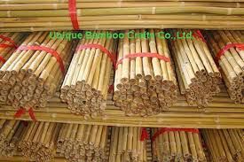 Heavy Duty Bamboo Canes