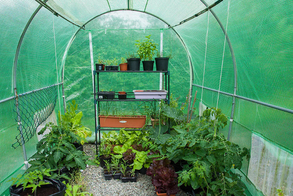 Heavy Duty Polytunnels with Hinged Door