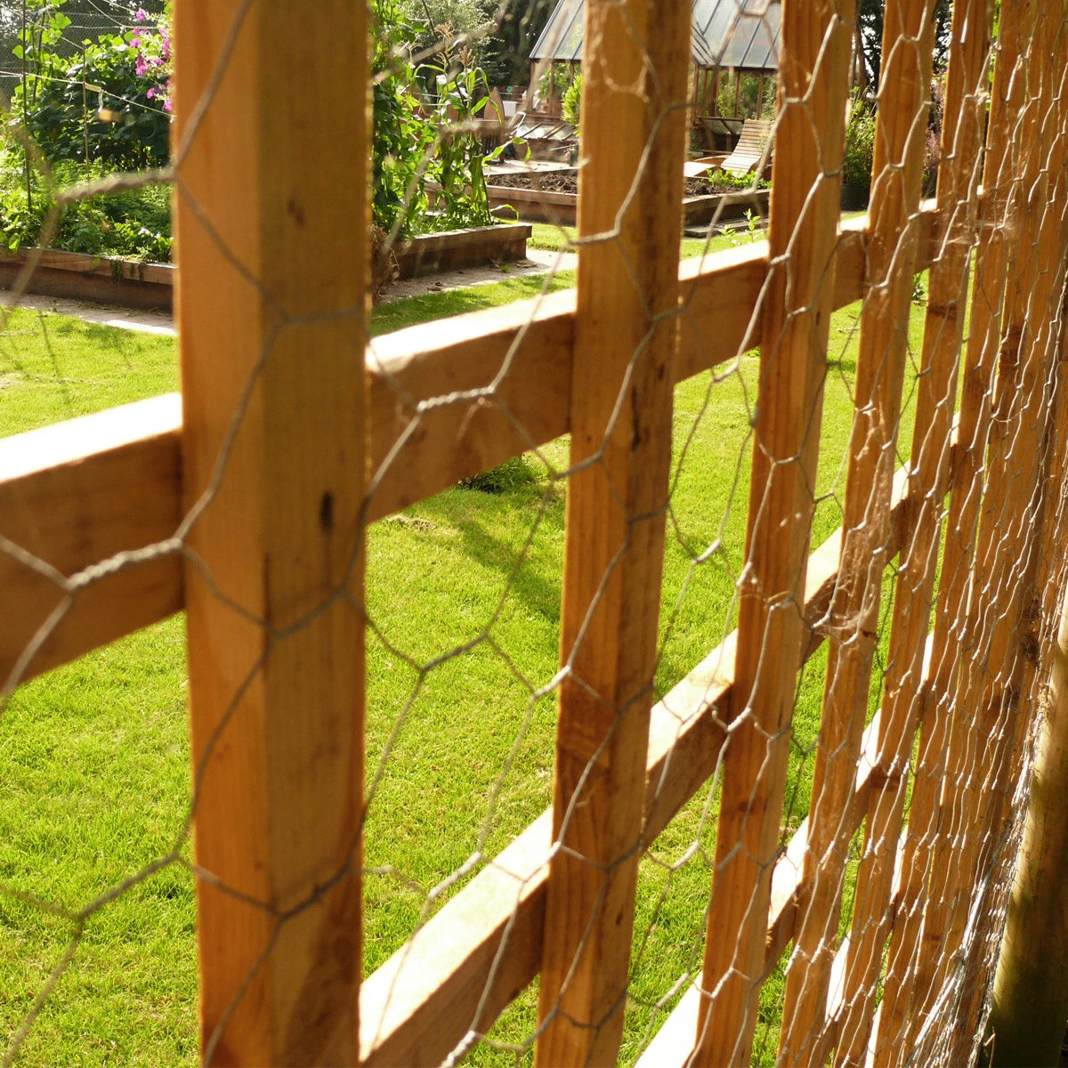 Chicken Wire Mesh Galvanised PVC Coated Hexagonal Fencing Garden