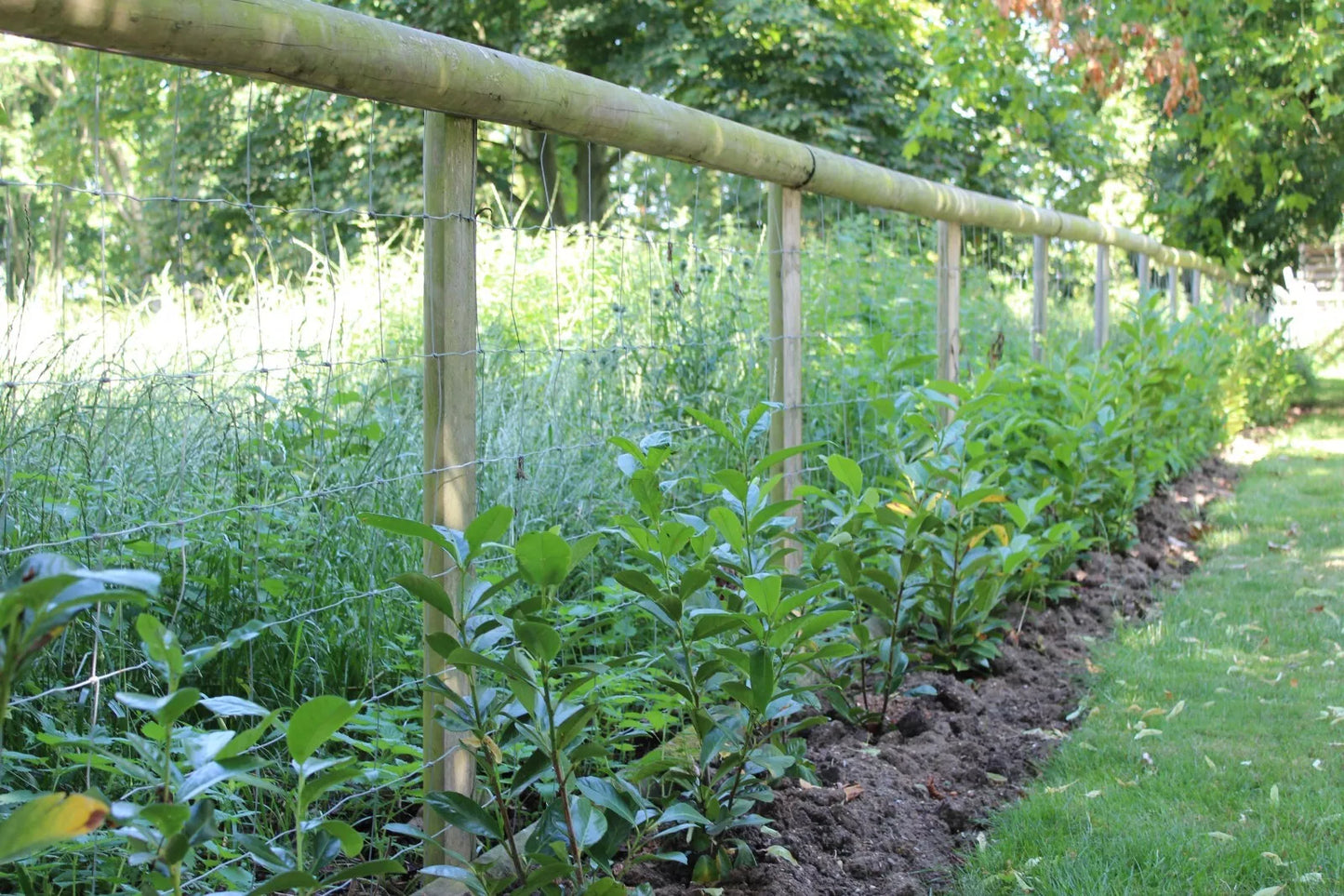 Round Fence Posts - Packs of 10