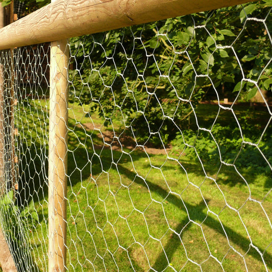 Chicken Wire Mesh Galvanised PVC Coated Hexagonal Fencing Garden