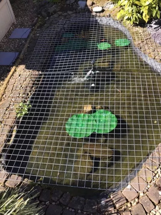 Galvanised Welded Wire Mesh Panel