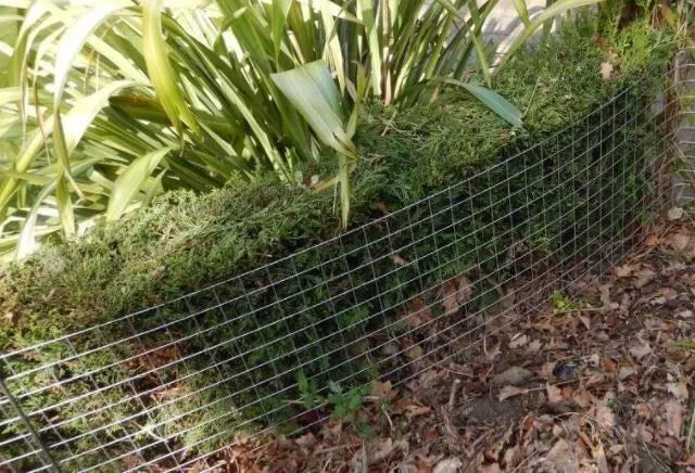 Galvanised Welded Wire Mesh Panel