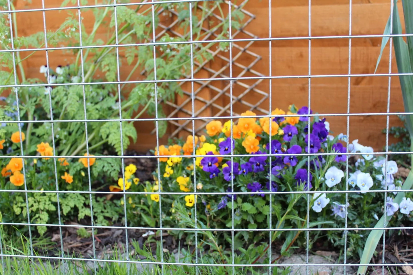 Galvanised Welded Wire Mesh Panel